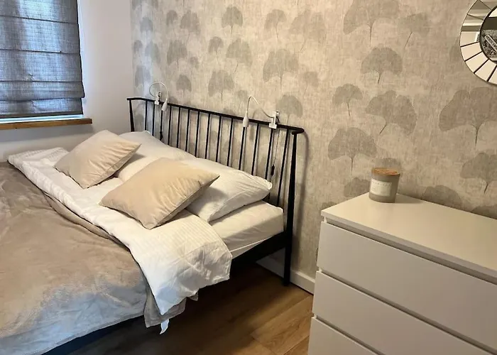 Old Town Square, Perfect Location And View . Szczecin